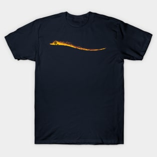 forest fires T-Shirt